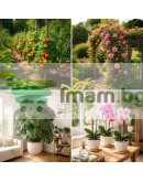 Пластмасови щипки за поддържане на домати и цветя – 108 бр